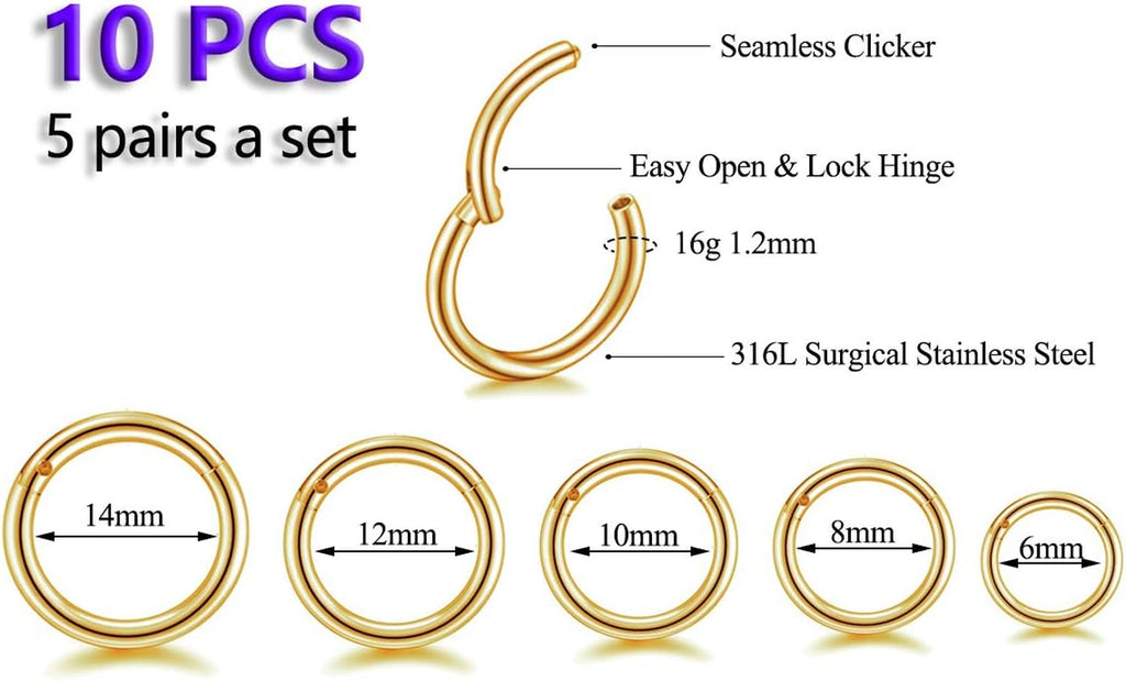 16G Surgical Steel Hinged Clicker Segment Nose Rings Hoop Helix Cartilage Daith Tragus Sleeper Earrings Body Piercing for Women 6Mm 8Mm 10Mm 12Mm 14Mm