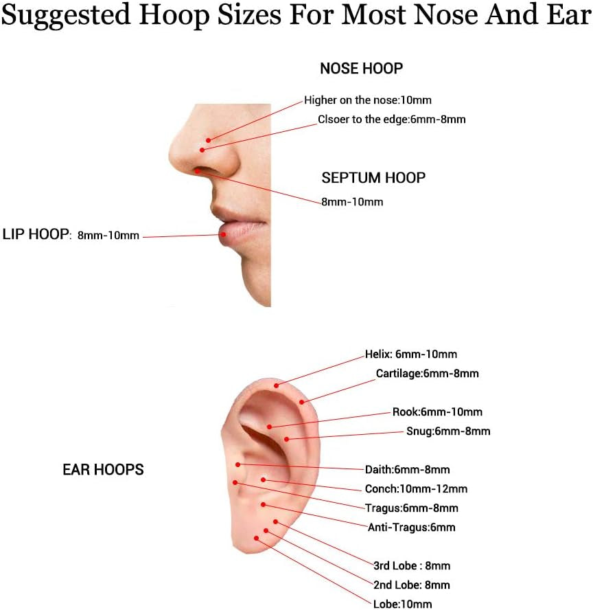 16G Surgical Steel Hinged Clicker Segment Nose Rings Hoop Helix Cartilage Daith Tragus Sleeper Earrings Body Piercing for Women 6Mm 8Mm 10Mm 12Mm 14Mm