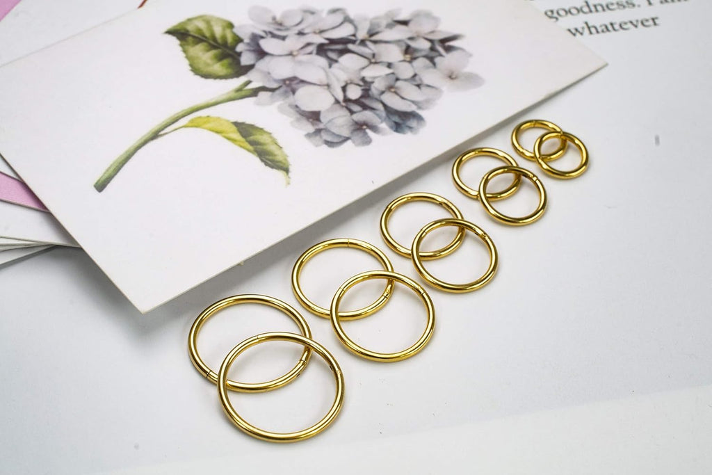 16G Surgical Steel Hinged Clicker Segment Nose Rings Hoop Helix Cartilage Daith Tragus Sleeper Earrings Body Piercing for Women 6Mm 8Mm 10Mm 12Mm 14Mm