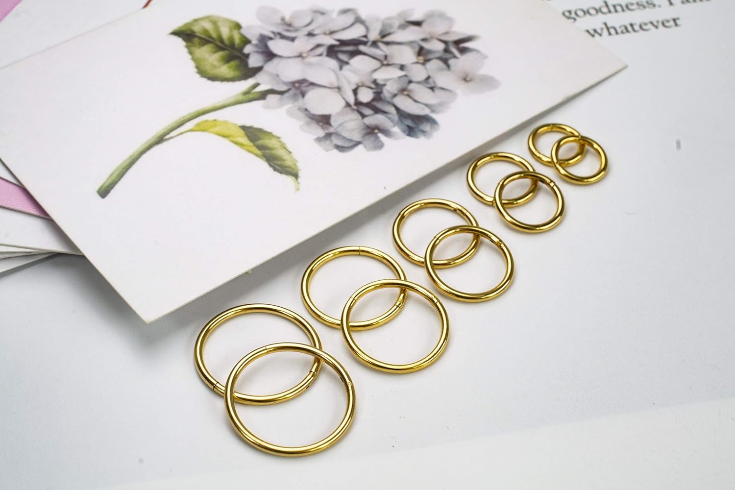 16G Surgical Steel Hinged Clicker Segment Nose Rings Hoop Helix Cartilage Daith Tragus Sleeper Earrings Body Piercing for Women 6Mm 8Mm 10Mm 12Mm 14Mm