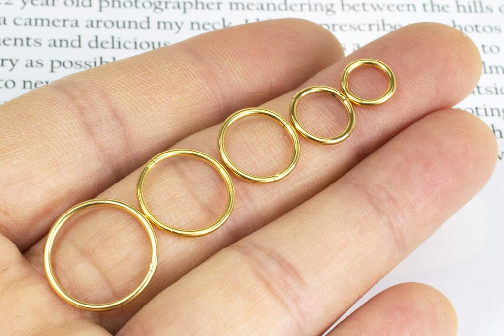 16G Surgical Steel Hinged Clicker Segment Nose Rings Hoop Helix Cartilage Daith Tragus Sleeper Earrings Body Piercing for Women 6Mm 8Mm 10Mm 12Mm 14Mm