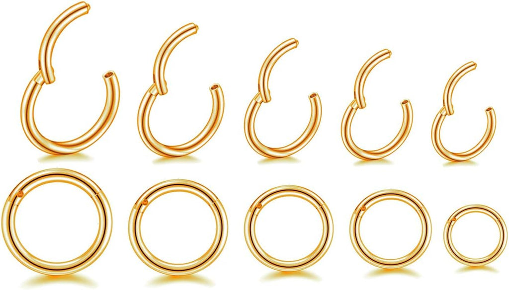 16G Surgical Steel Hinged Clicker Segment Nose Rings Hoop Helix Cartilage Daith Tragus Sleeper Earrings Body Piercing for Women 6Mm 8Mm 10Mm 12Mm 14Mm