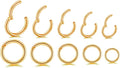 16G Surgical Steel Hinged Clicker Segment Nose Rings Hoop Helix Cartilage Daith Tragus Sleeper Earrings Body Piercing for Women 6Mm 8Mm 10Mm 12Mm 14Mm